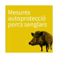 Autoprotecció porc senglars