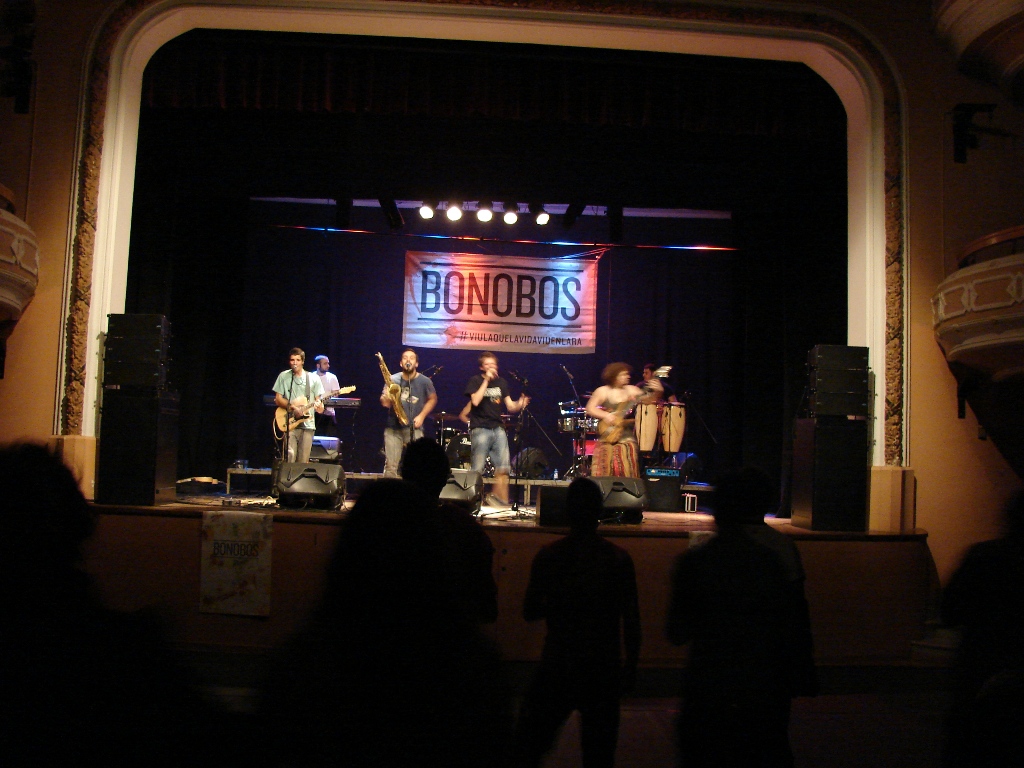 Concert dels Bonobos