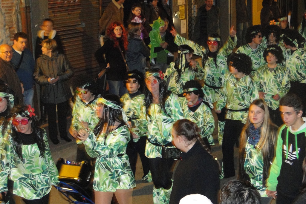Rua de Carnaval a Sant Celoni - Foto 11145226