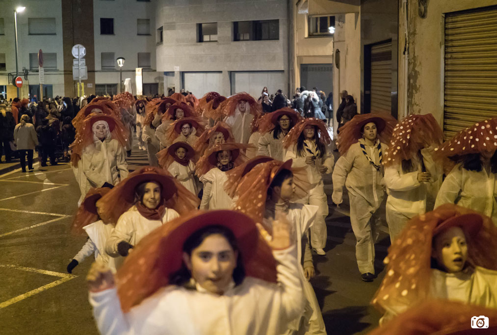 Rua de Carnaval de Sant Celoni 2018 - Foto 12247803