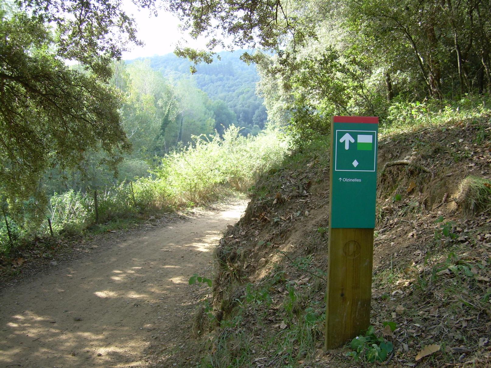 Galeria d'imatges Itinerari Vall d'Olzinelles - Foto 78242504