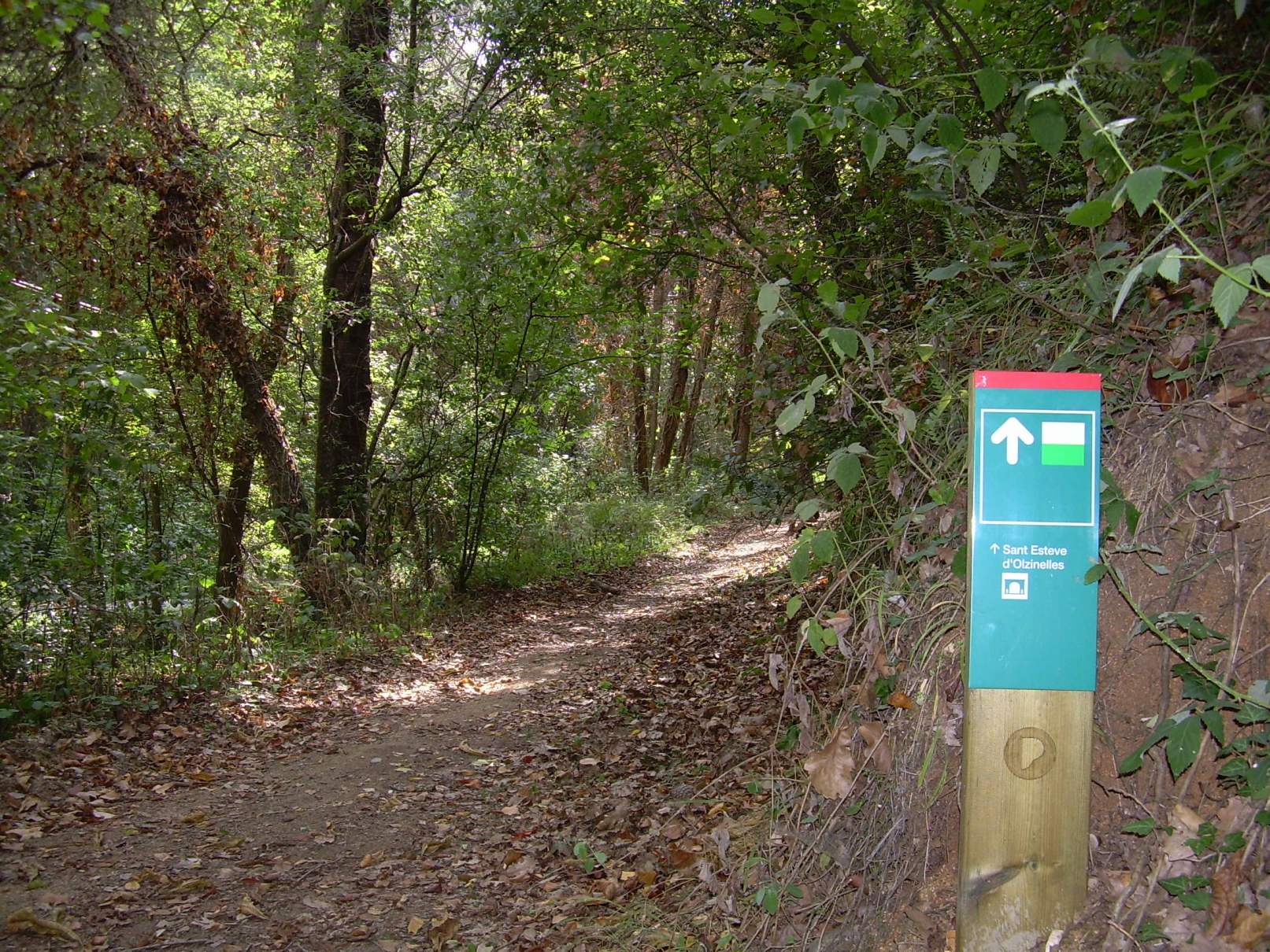 Galeria d'imatges Itinerari Vall d'Olzinelles - Foto 84877347