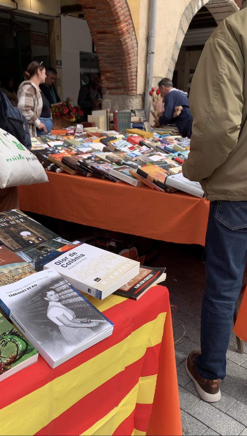 Sant Jordi (llibres)