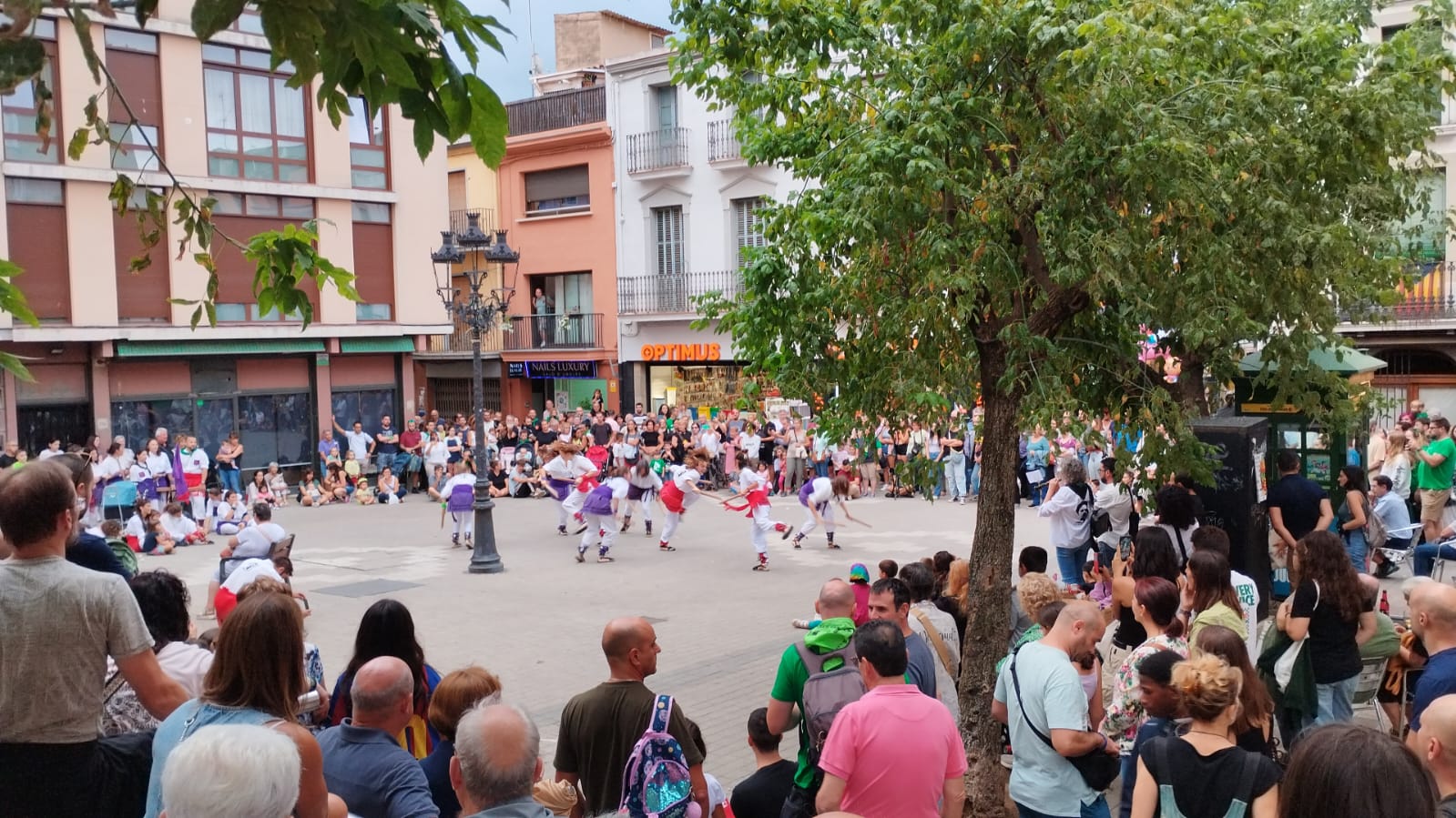 Correxutxes de Montseny i Montnegres i Ballada de Bastons - Festa Major de Sant Celoni 2024 - Foto 79650050