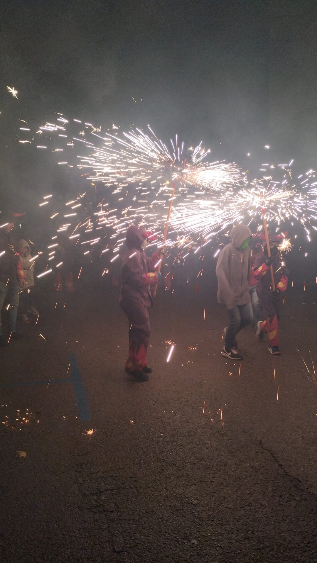 Festes de Sant Mart 2024 - Foto 88337012