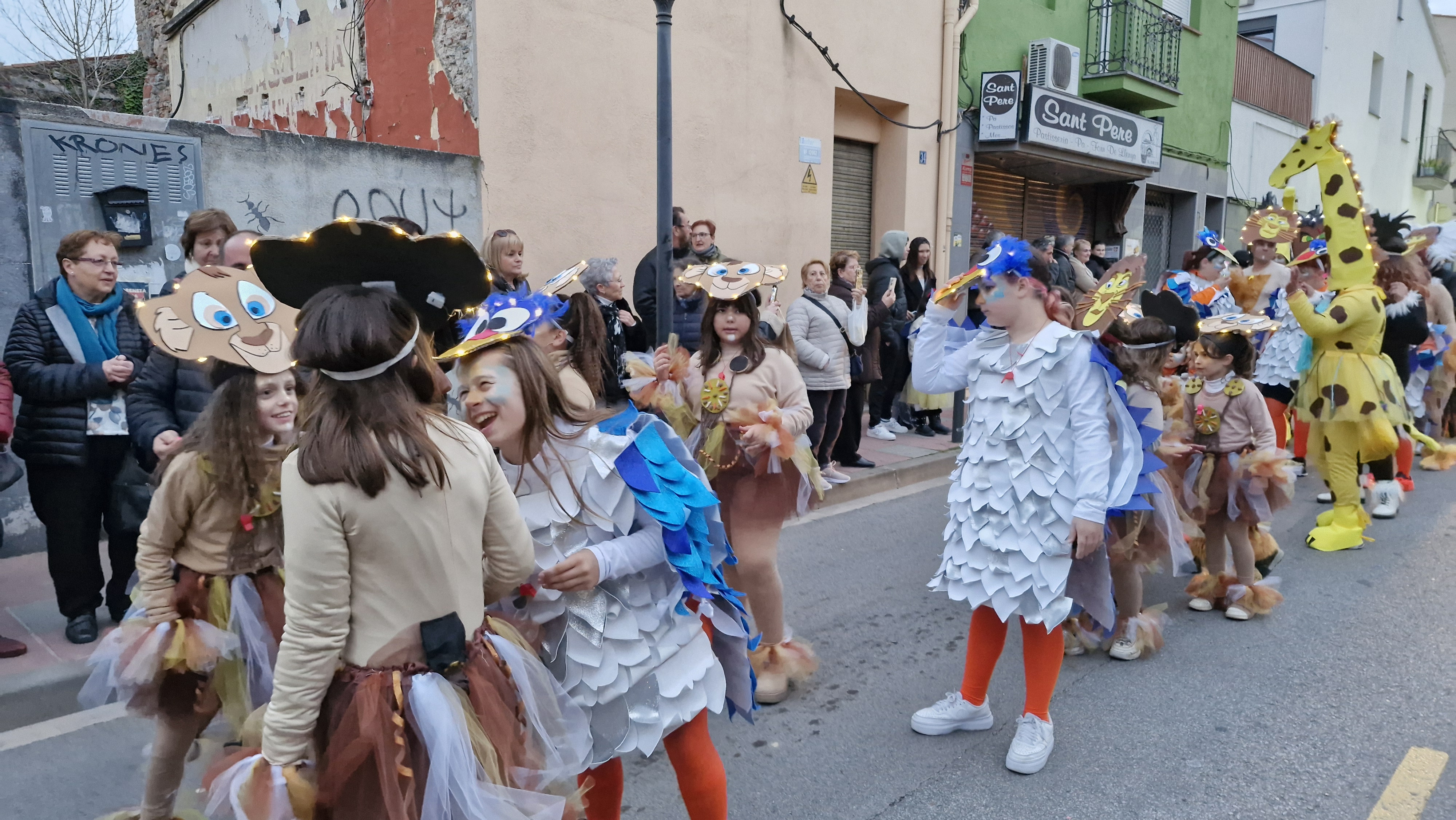 Carnestoltes 2025 - Foto 53854670