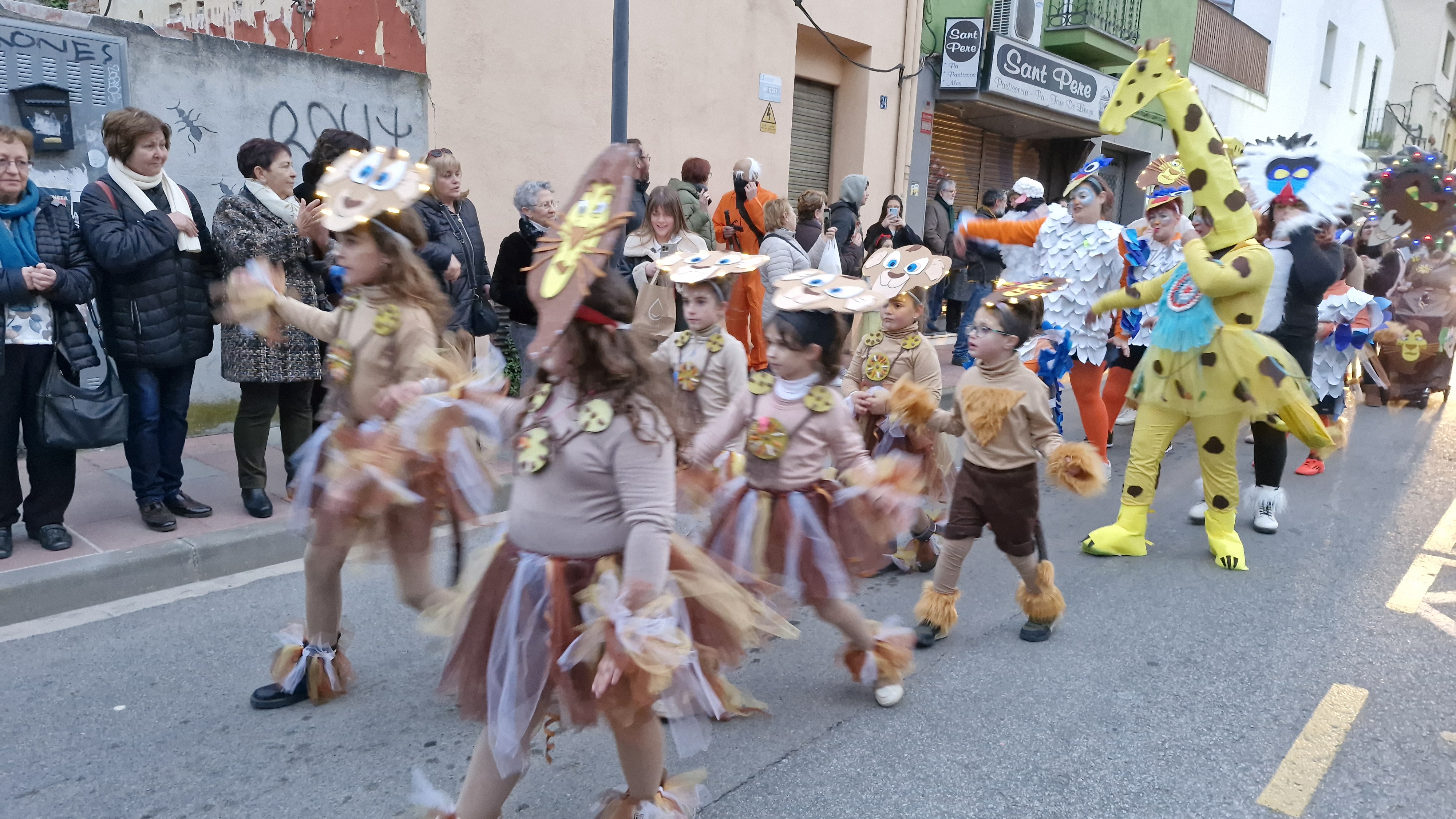 Carnestoltes 2025 - Foto 63389777