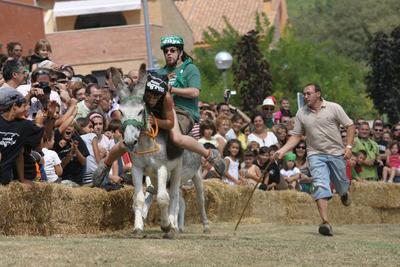 Rucada