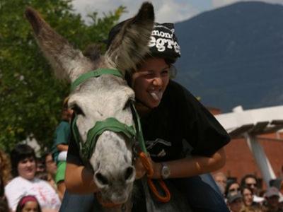 Rucada