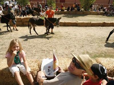 Rucada infantil