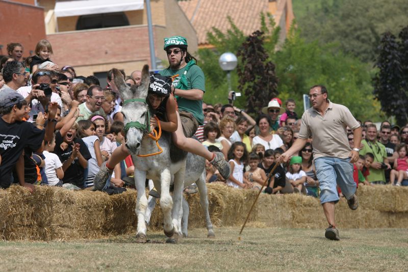 Rucada