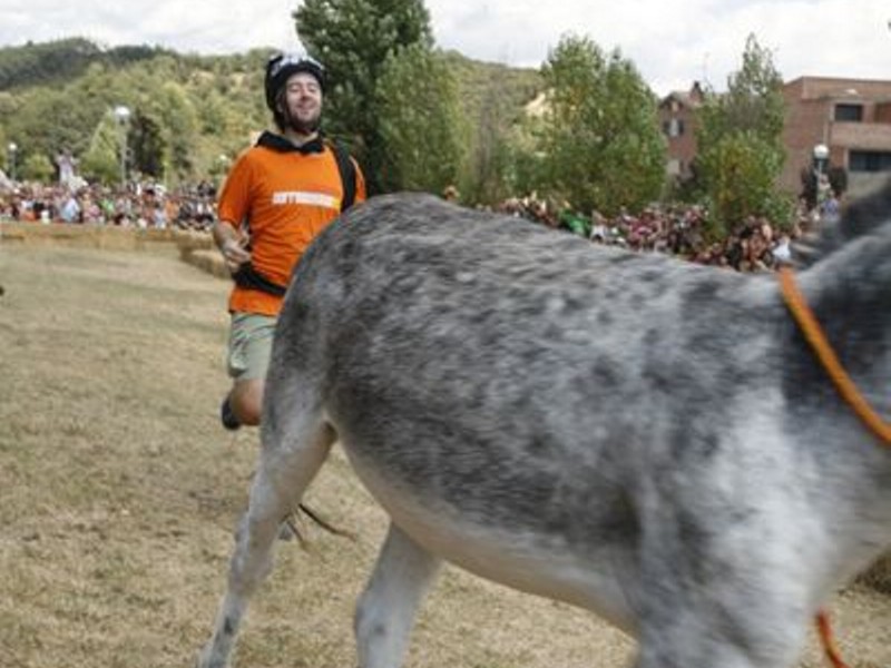 Rucada