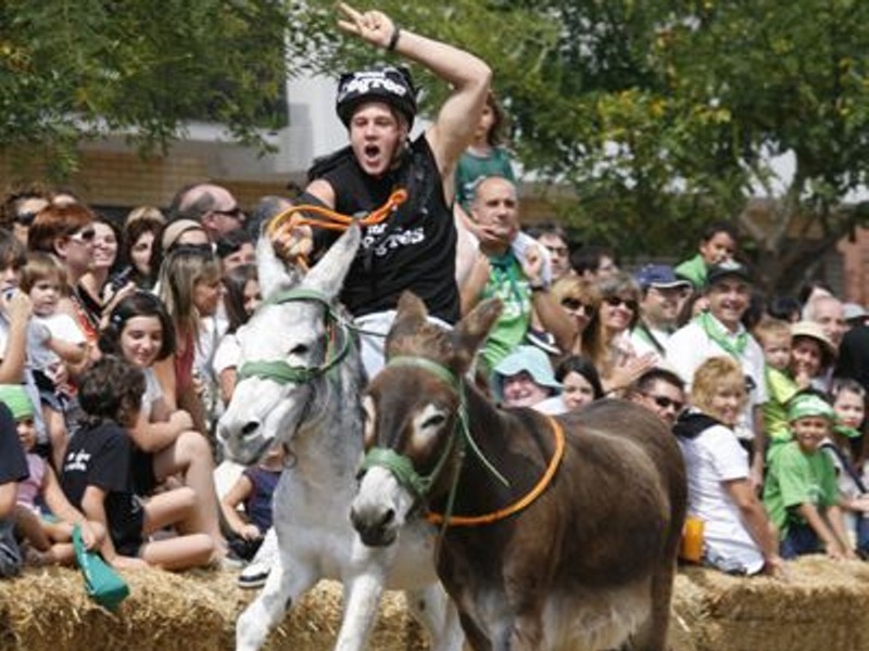 Rucada