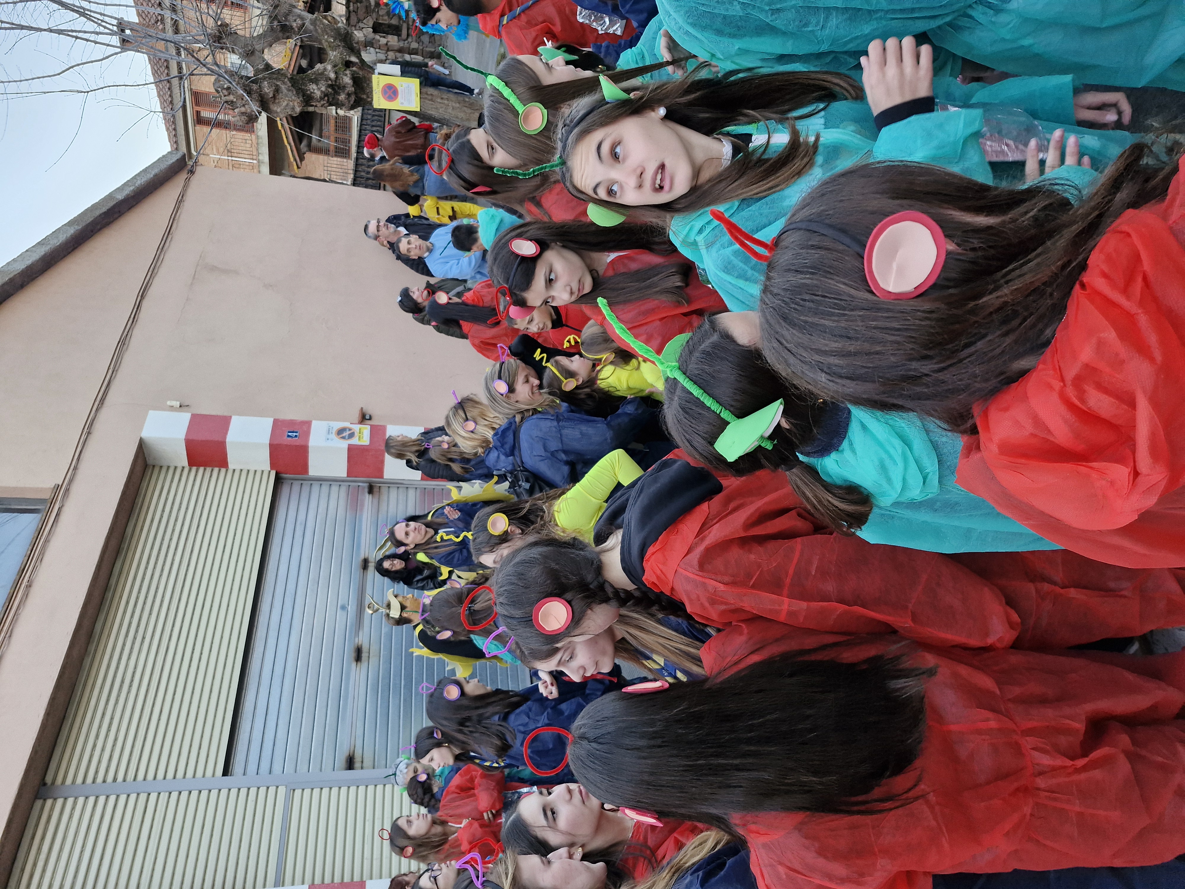 Carnestoltes Sant Celoni 2026 - Foto 61458106