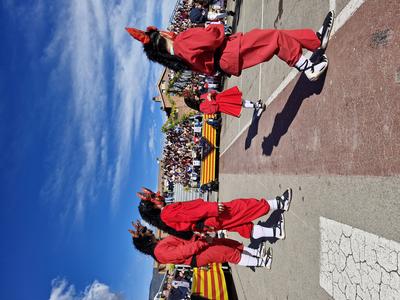 Foto 85928344 - Clica per mida completa