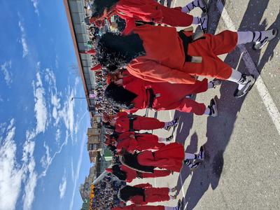 Foto 32540594 - Clica per mida completa