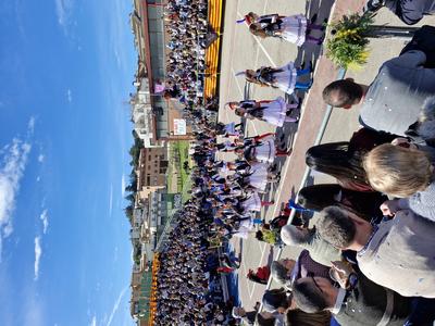 Foto 86288313 - Clica per mida completa