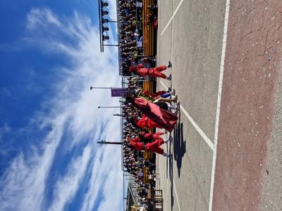 Foto 67825825 - Clica per mida completa