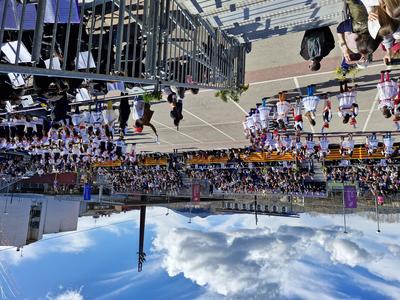 Foto 29368198 - Clica per mida completa