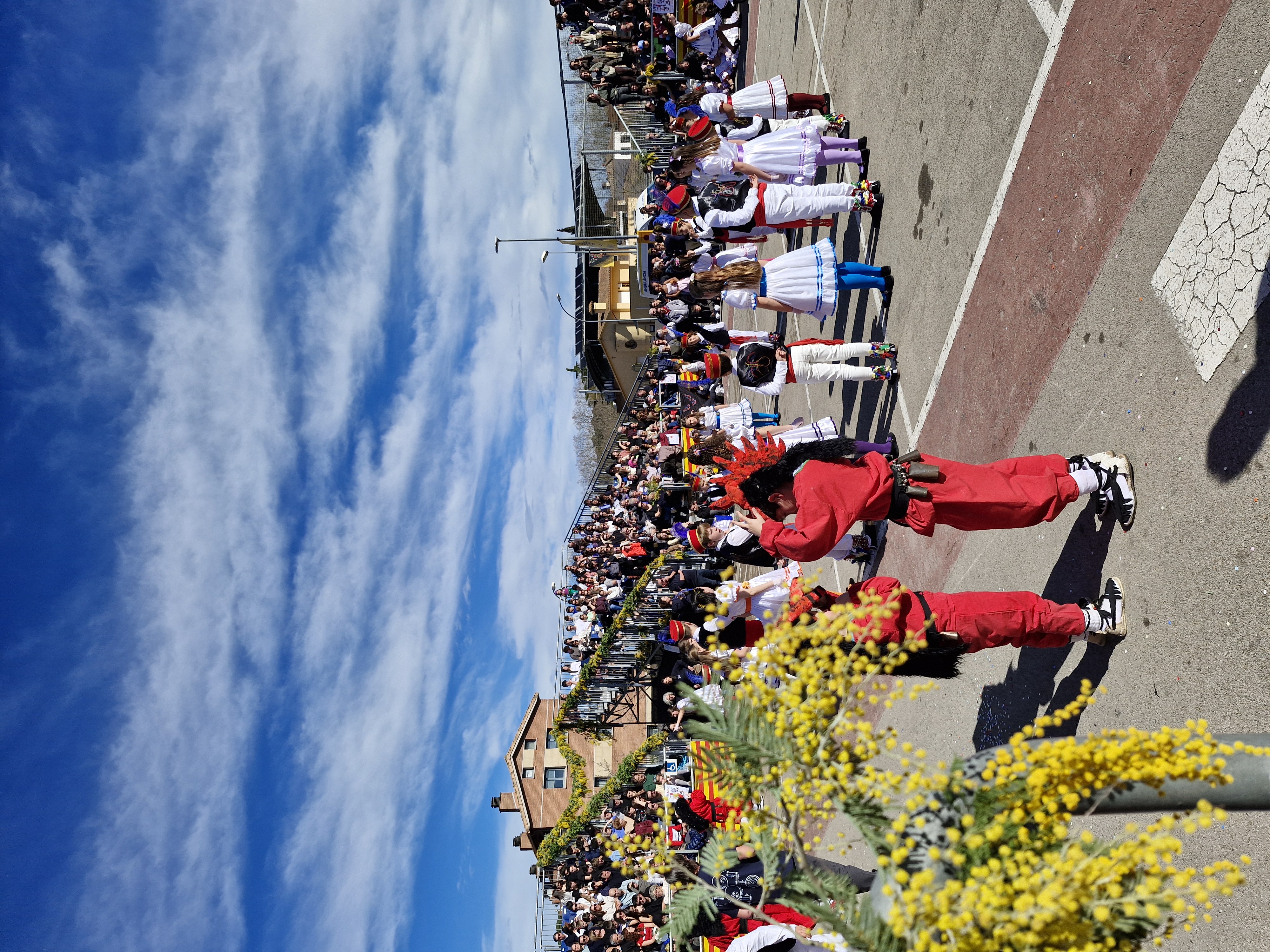 Filferrada 2026 - Foto 49204600
