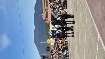 Foto 22852838 - Clica per mida completa