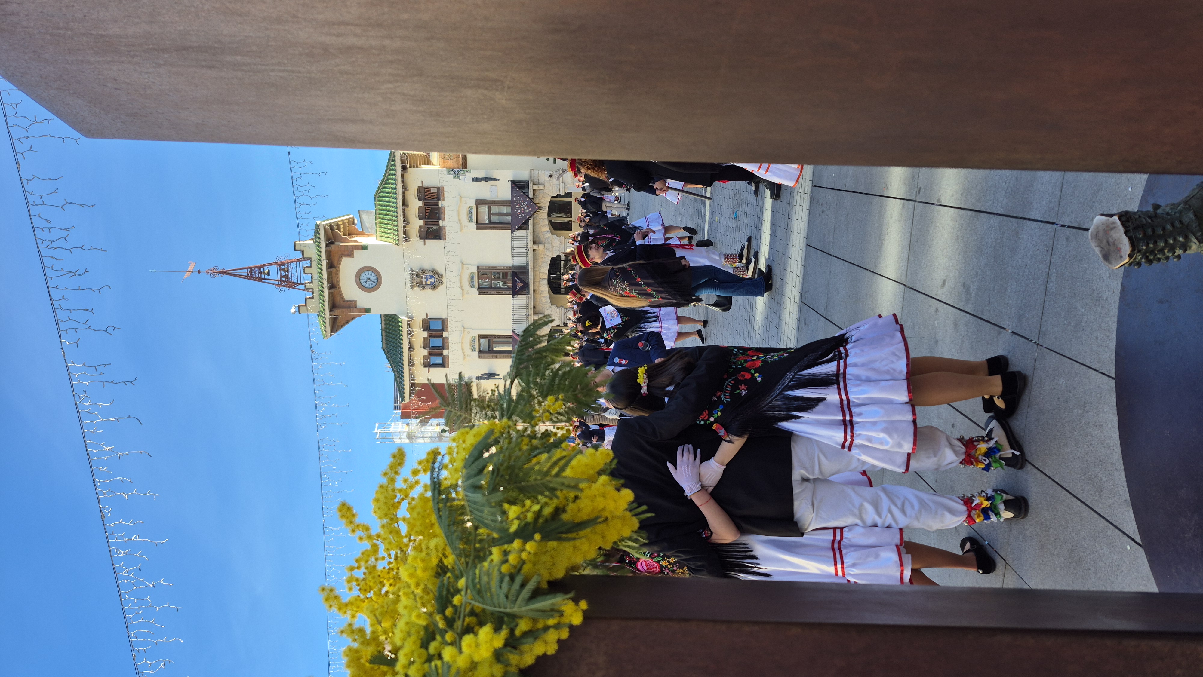 Ball de Gitanes 2026 - Foto 48355813