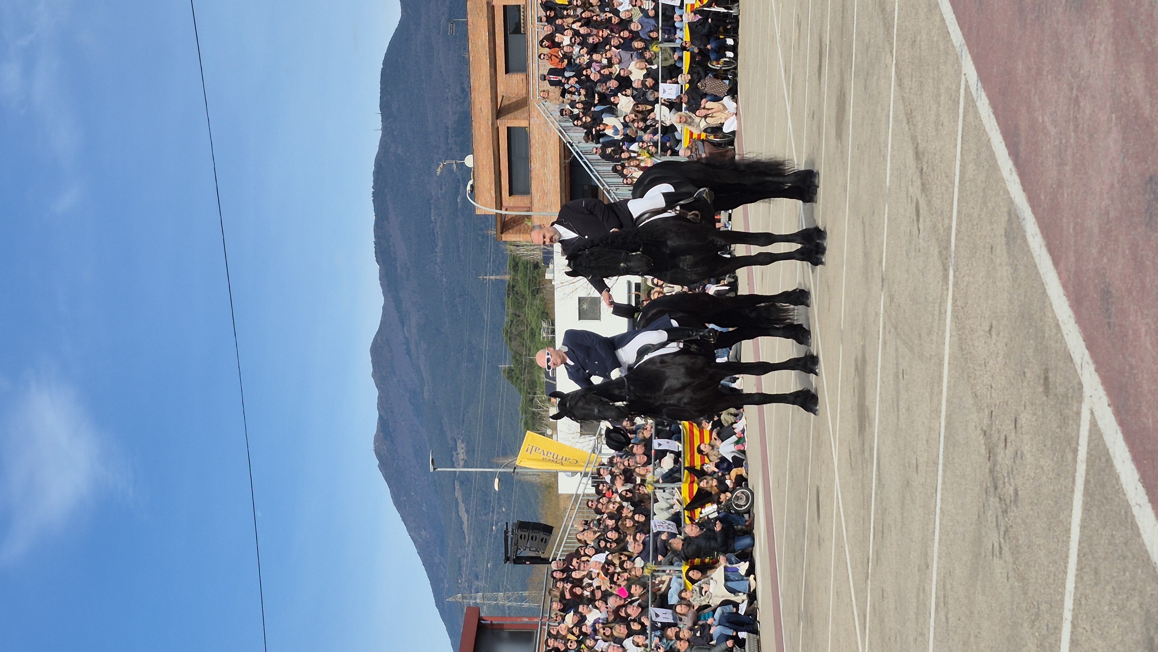 Ball de Gitanes 2026 - Foto 22852838