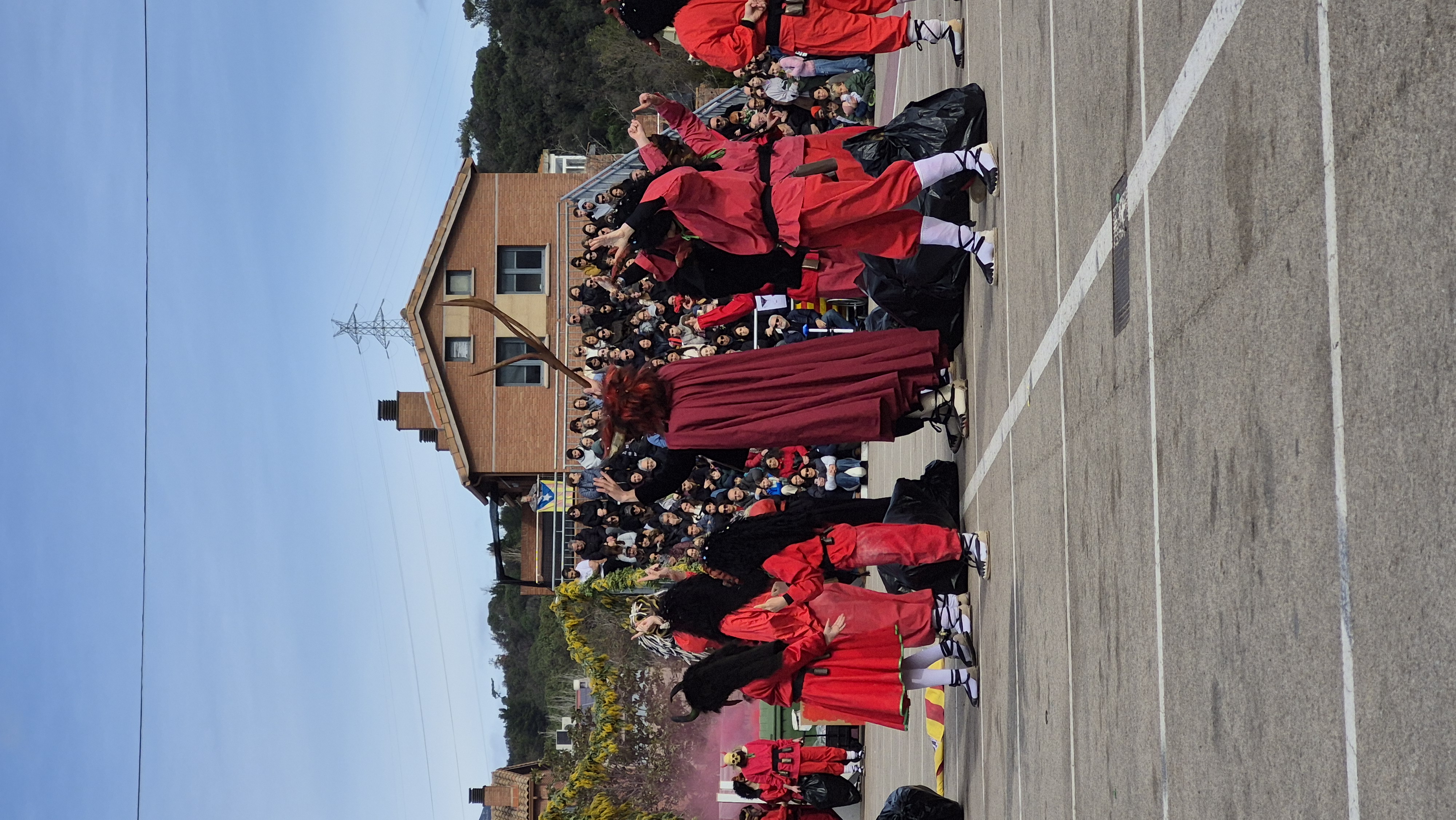 Ball de Gitanes 2026 - Foto 24219691