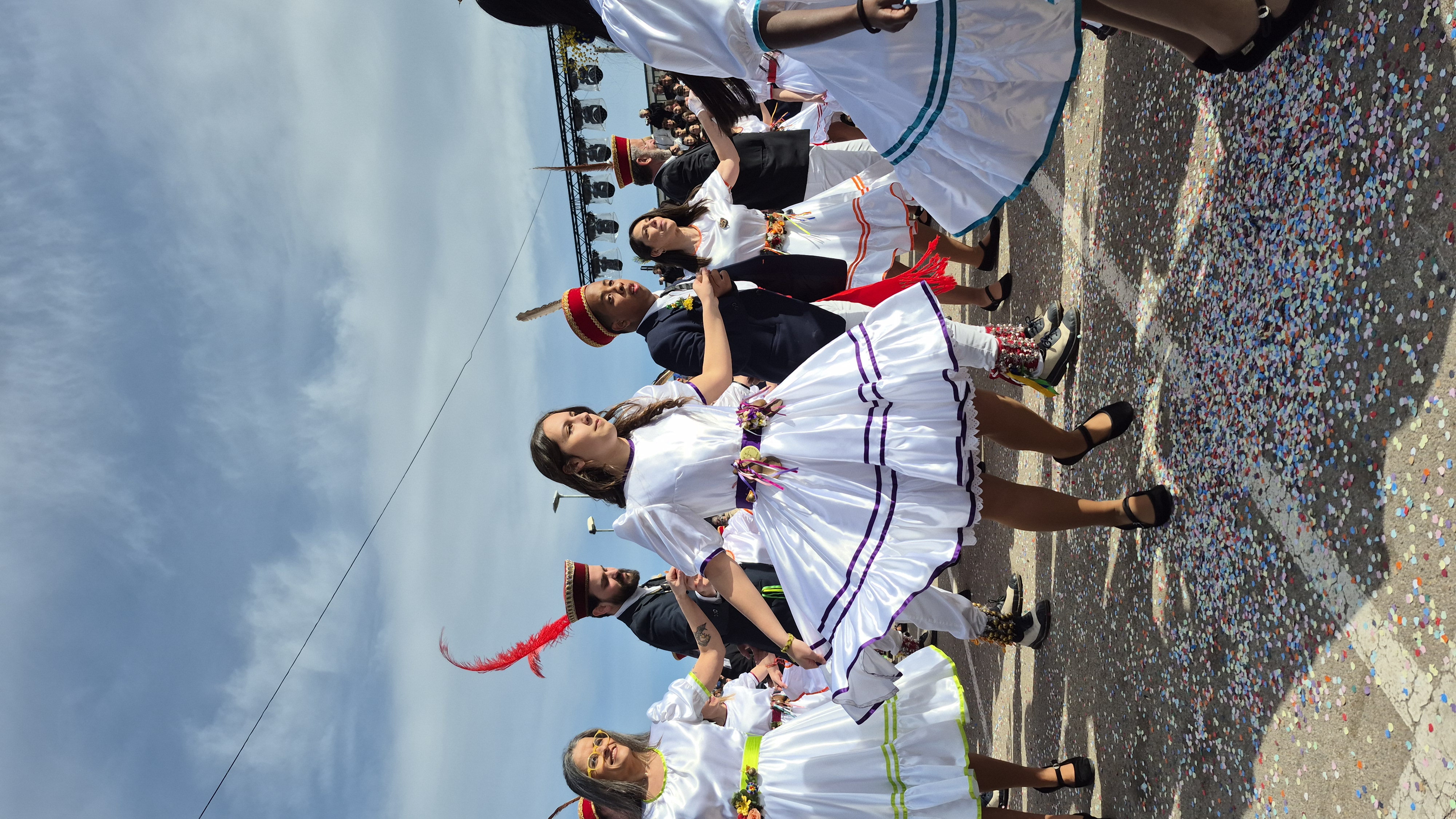 Ball de Gitanes 2026 - Foto 46266960