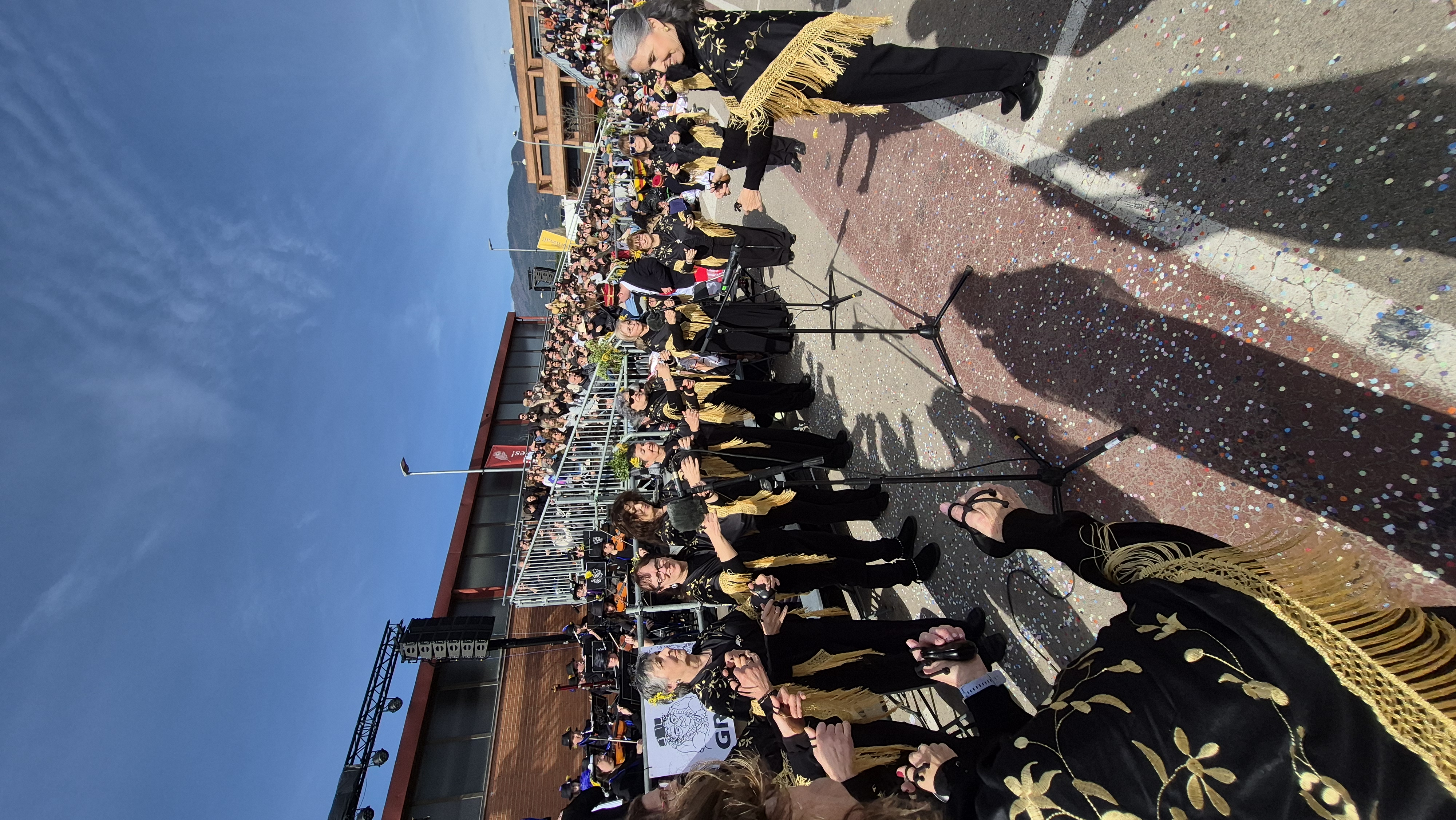 Ball de Gitanes 2026 - Foto 50337681