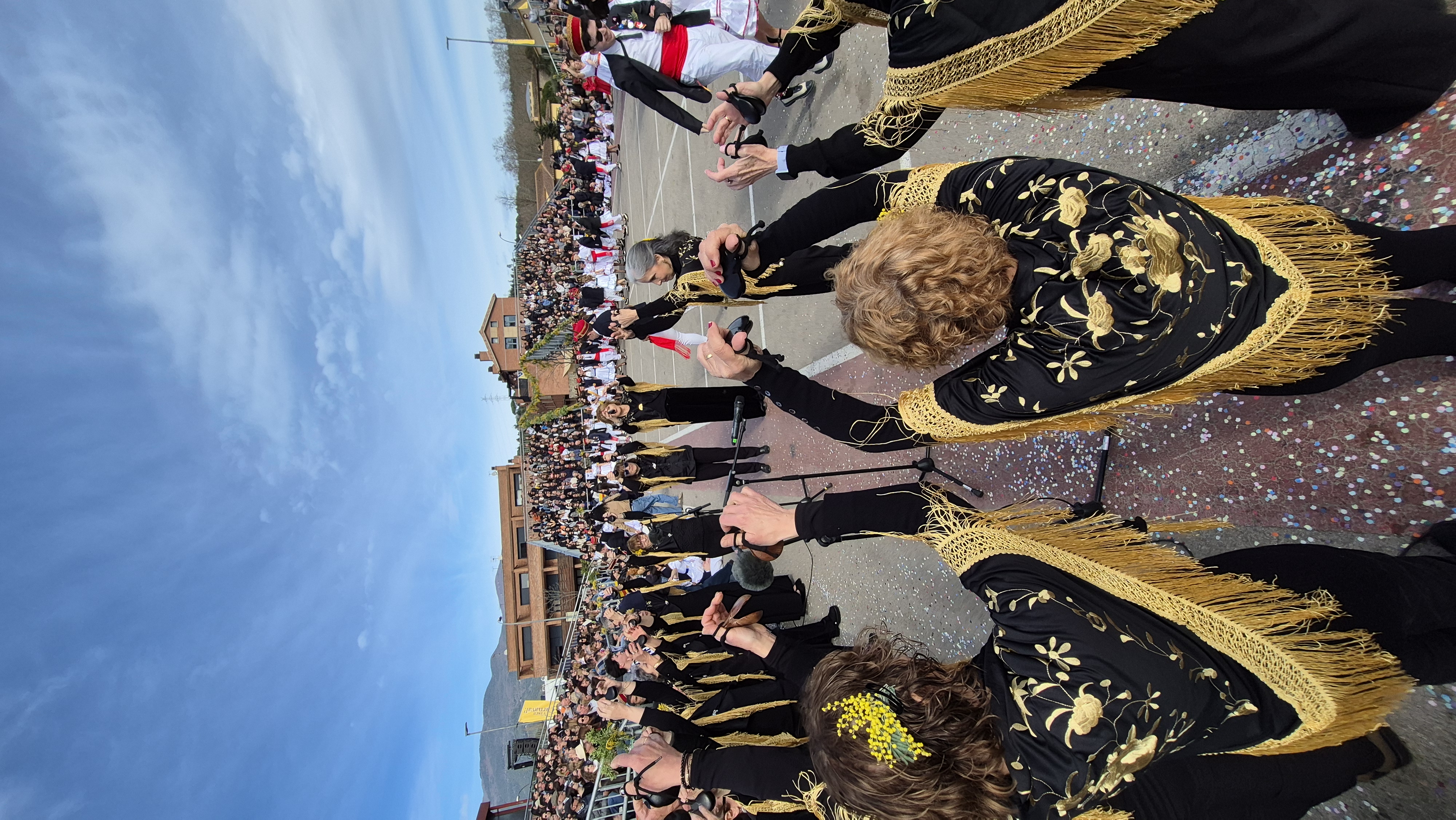 Ball de Gitanes 2026 - Foto 66888315