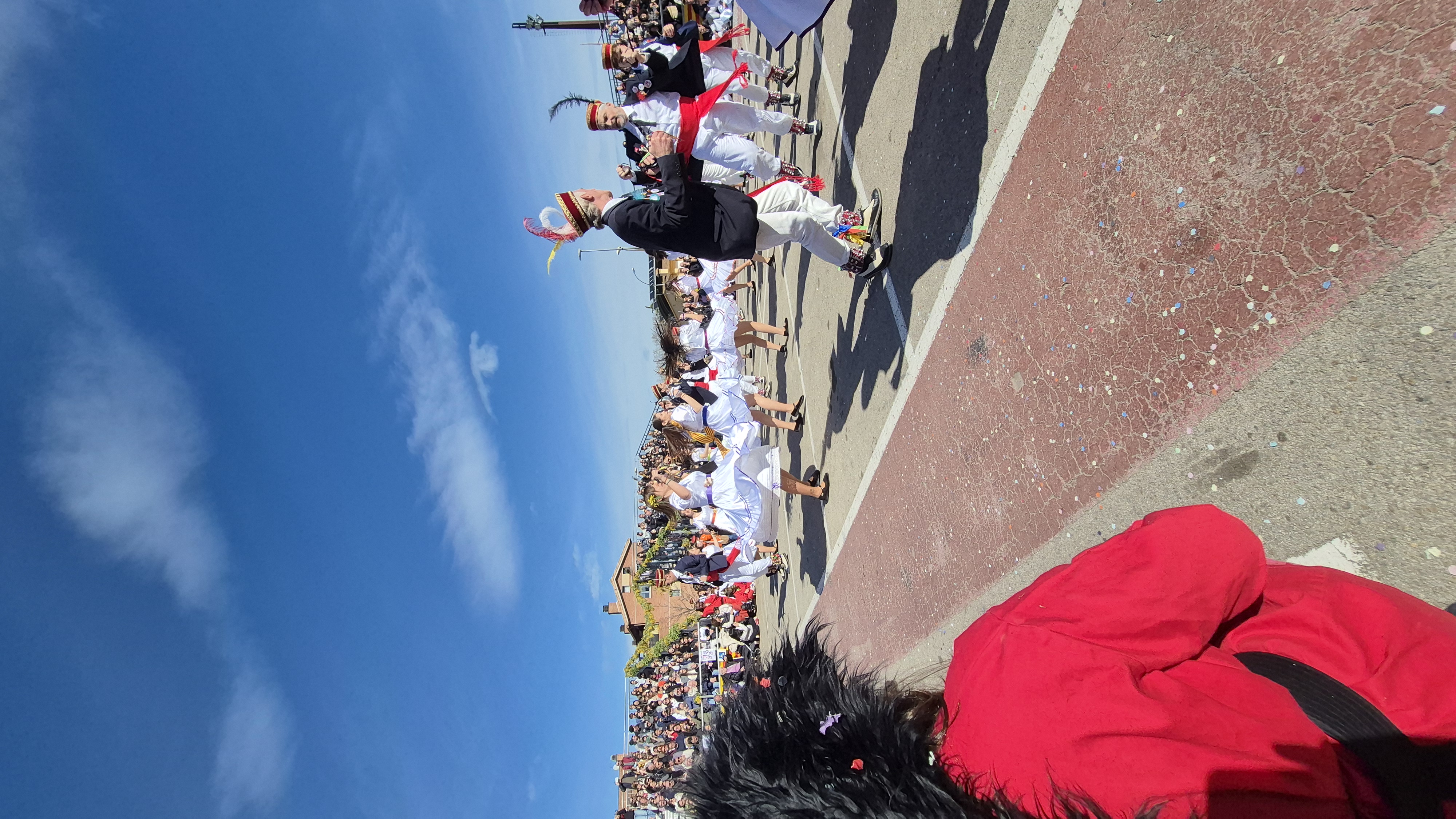 Ball de Gitanes 2026 - Foto 43176434