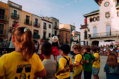 Foto 87115141 - Clica per mida completa