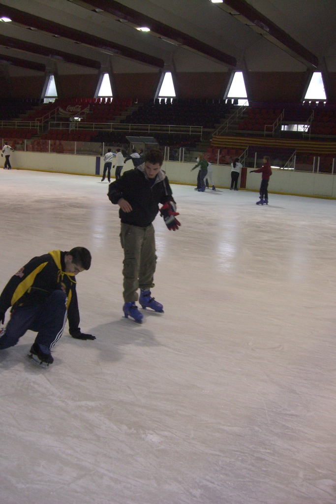 Pista de gel Palaublaugrana - Foto 95400828