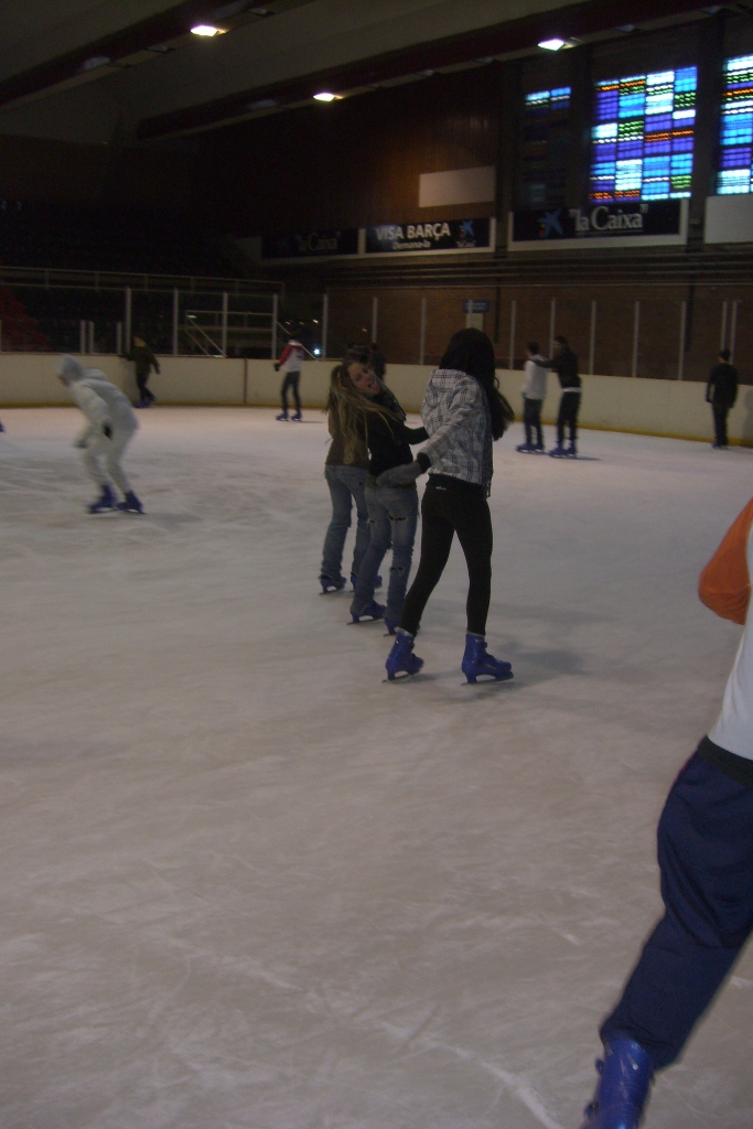 Pista de gel Palaublaugrana - Foto 76097563