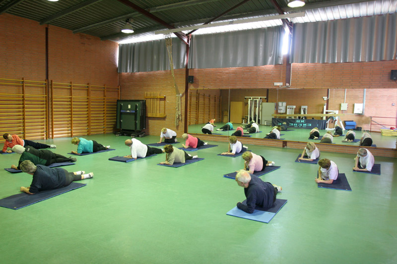 Pavell� Municipal d'Esports - Gimn�s