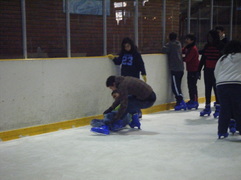 Pista de� gel Palaublaugrana - Foto 87090312