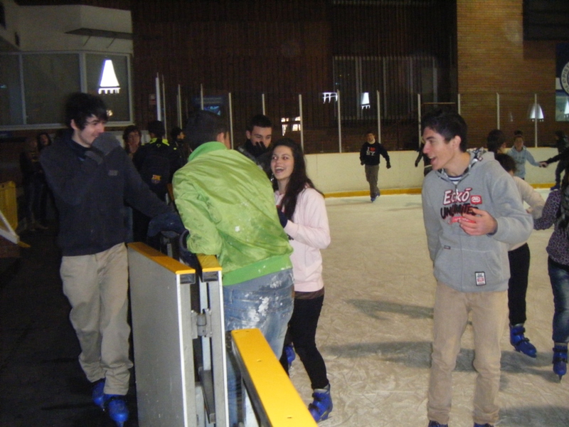 Pista de� gel Palaublaugrana - Foto 17040681