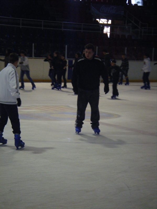 Pista de� gel Palaublaugrana - Foto 13576390
