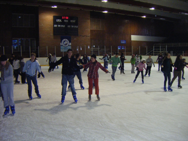 Pista de� gel Palaublaugrana - Foto 98733162