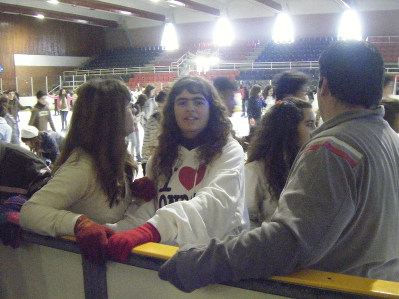 Pista de� gel Palaublaugrana - Foto 17894223