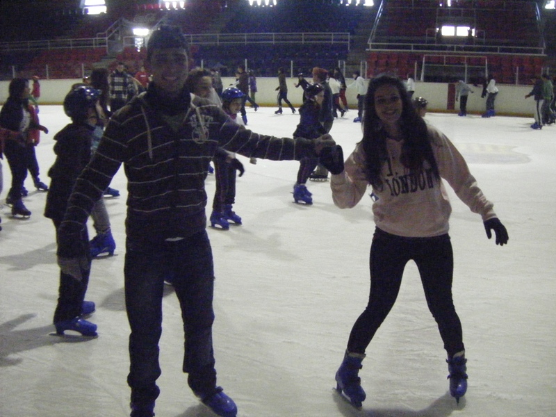 Pista de� gel Palaublaugrana - Foto 60547428