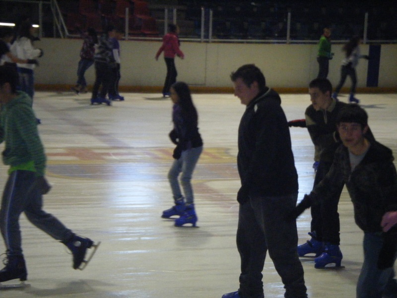 Pista de� gel Palaublaugrana - Foto 70685635