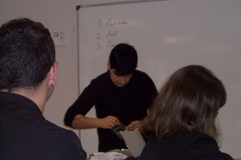 Taller de joieria - Foto 46670773