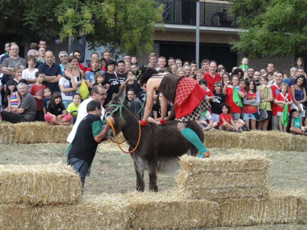 Rucada - Foto 70211518