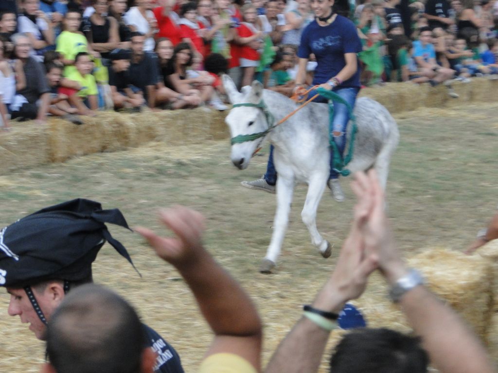 Rucada - Foto 76435032