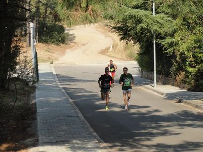 Foto 98041422 - Clica per mida completa