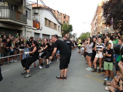 Foto 49073389 - Clica per mida completa