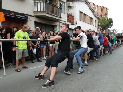 Foto 78812635 - Clica per mida completa