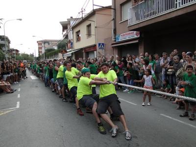 Foto 21578583 - Clica per mida completa